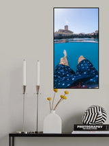 Between two world Poster och Canvastavla