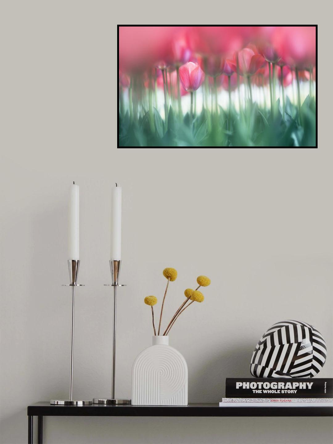 Lined tulips Poster och Canvastavla
