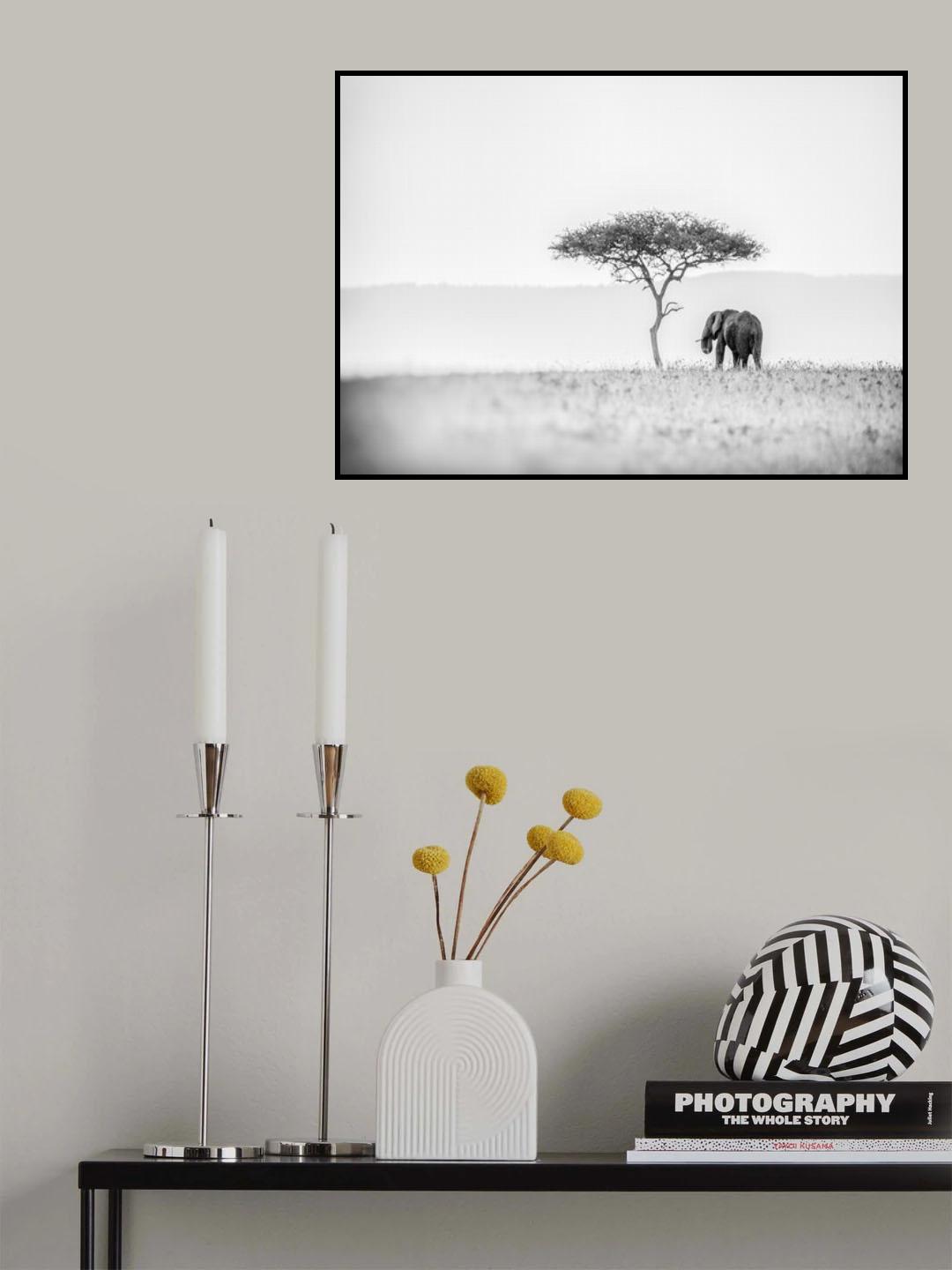 UMBRELLA THORN Poster och Canvastavla