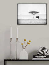 UMBRELLA THORN Poster och Canvastavla