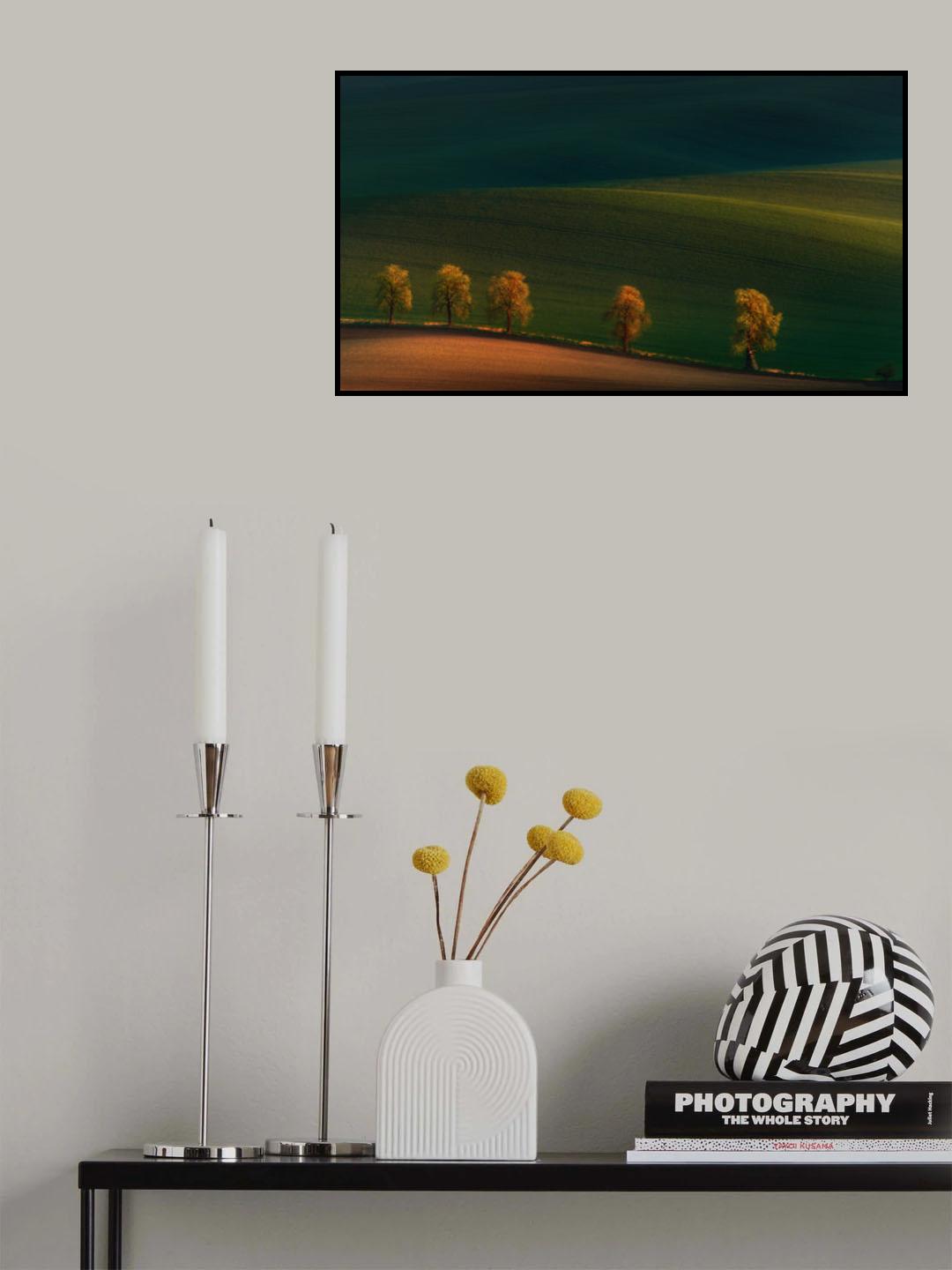 Shadows on the fields.... Poster och Canvastavla