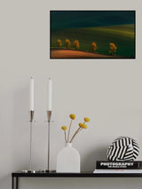 Shadows on the fields.... Poster och Canvastavla
