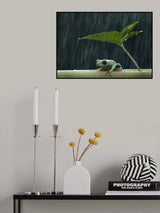 Under the rain Poster och Canvastavla