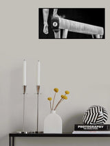 On the balance beam Poster och Canvastavla