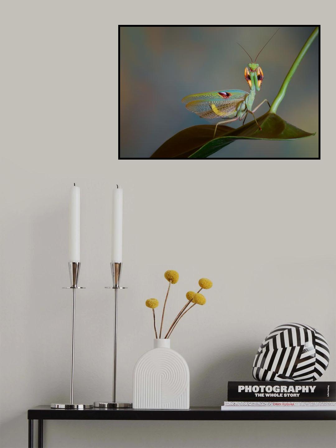 Biocellata Poster och Canvastavla