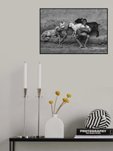 Enjoying the Mood Poster och Canvastavla