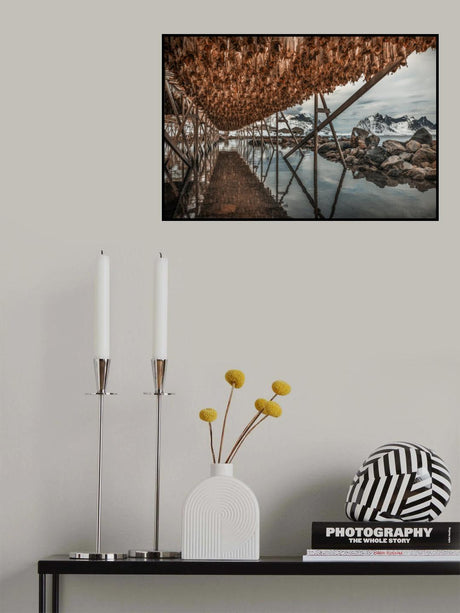 Stock fish Poster och Canvastavla