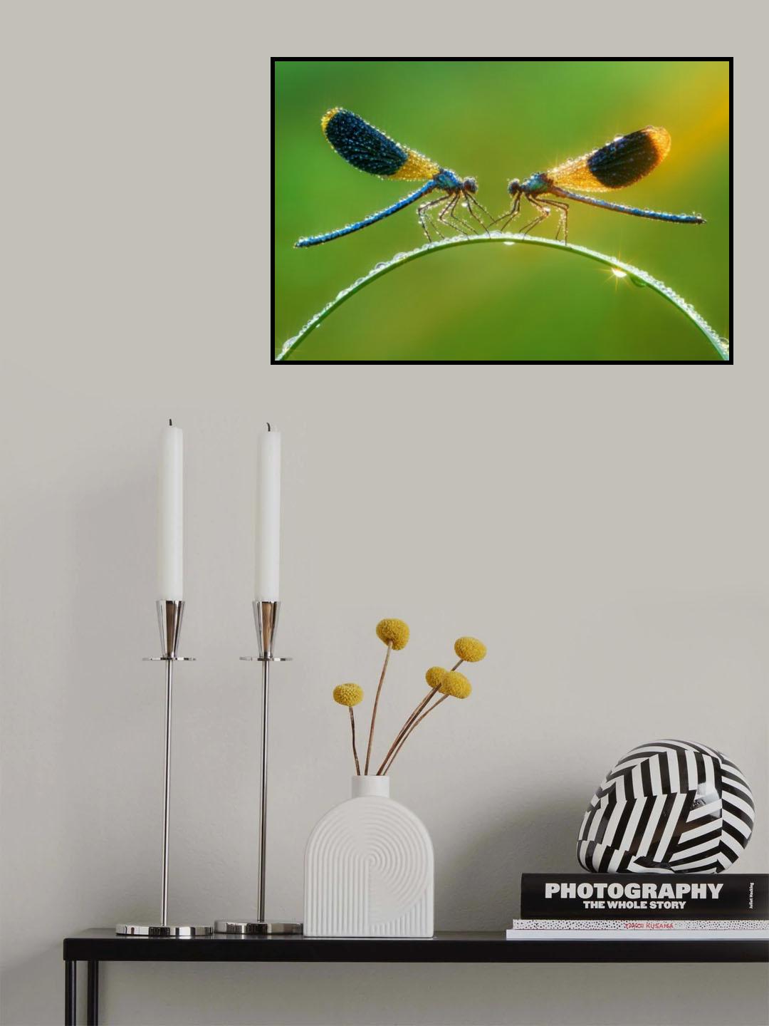 Damselfly magic Poster och Canvastavla