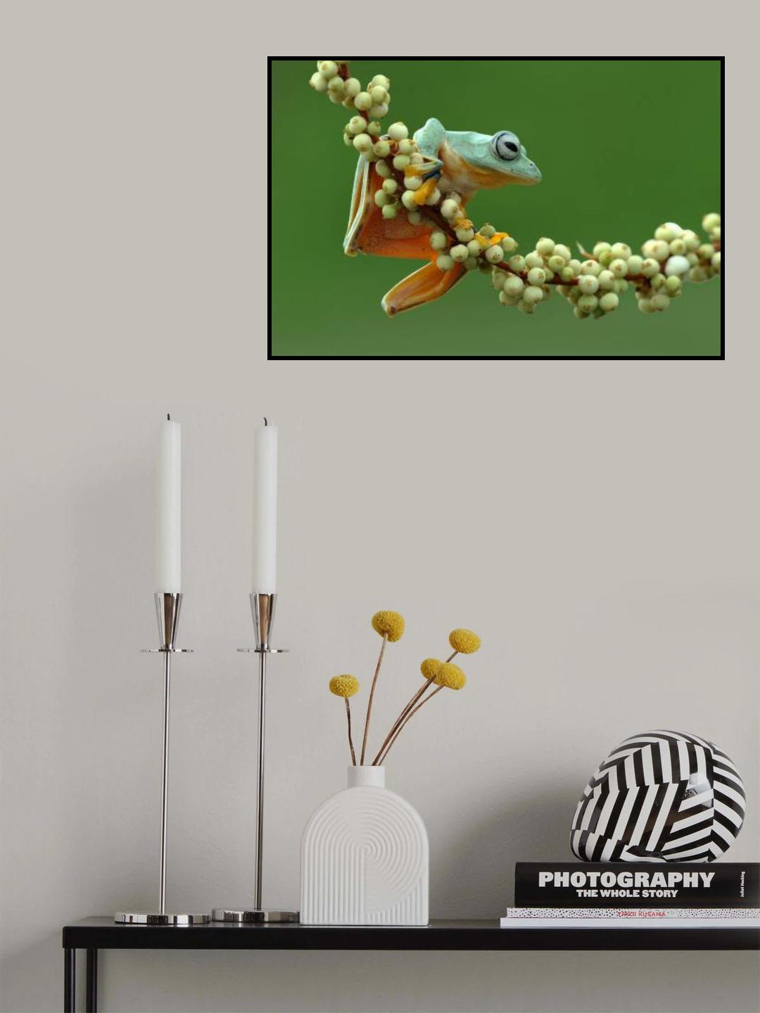 Flying frog Poster och Canvastavla