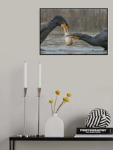 Delicacy Poster och Canvastavla
