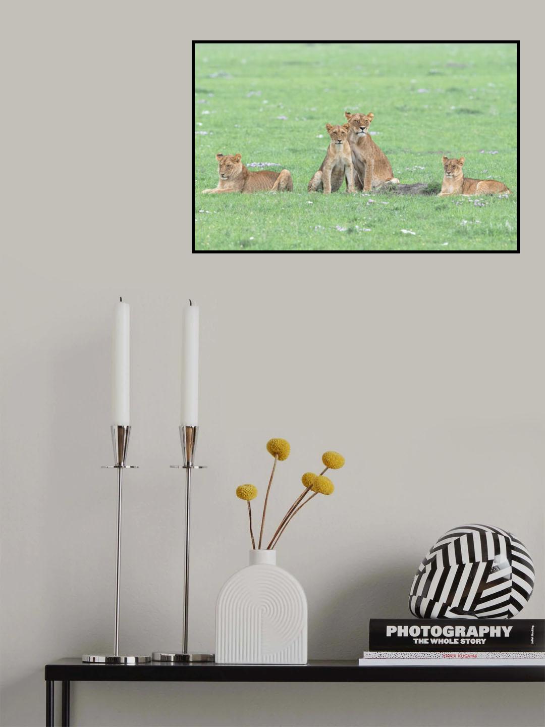 Spring in Massai Poster och Canvastavla