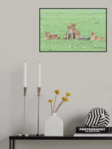 Spring in Massai Poster och Canvastavla