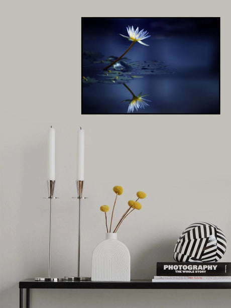 Reflection Poster och Canvastavla