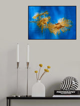 Unidentified Sea Creatures, #254 Poster och Canvastavla