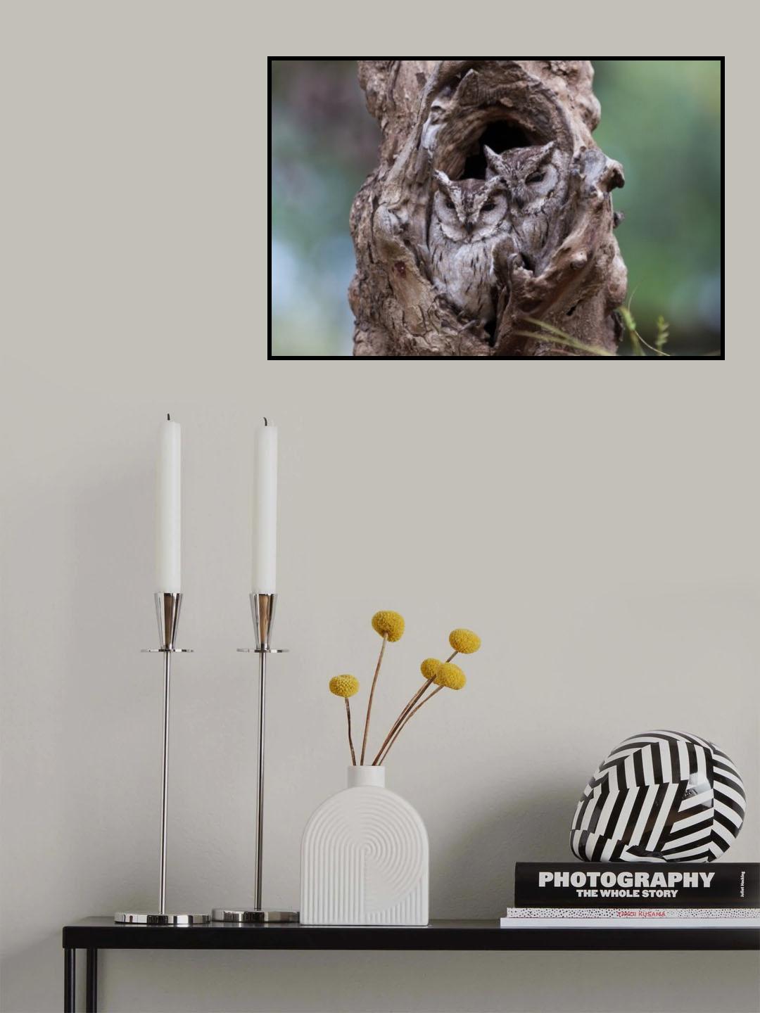 Hidden Poster och Canvastavla