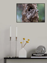 Hidden Poster och Canvastavla