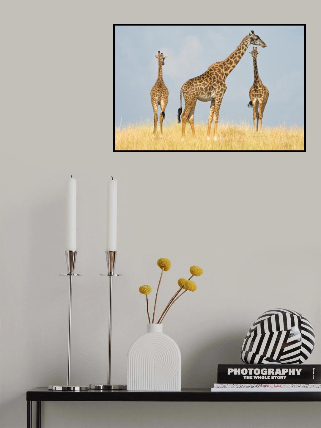 Trio Poster och Canvastavla