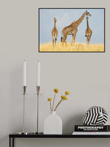 Trio Poster och Canvastavla