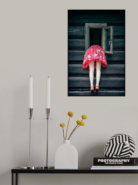 Getting out - getting in Poster och Canvastavla