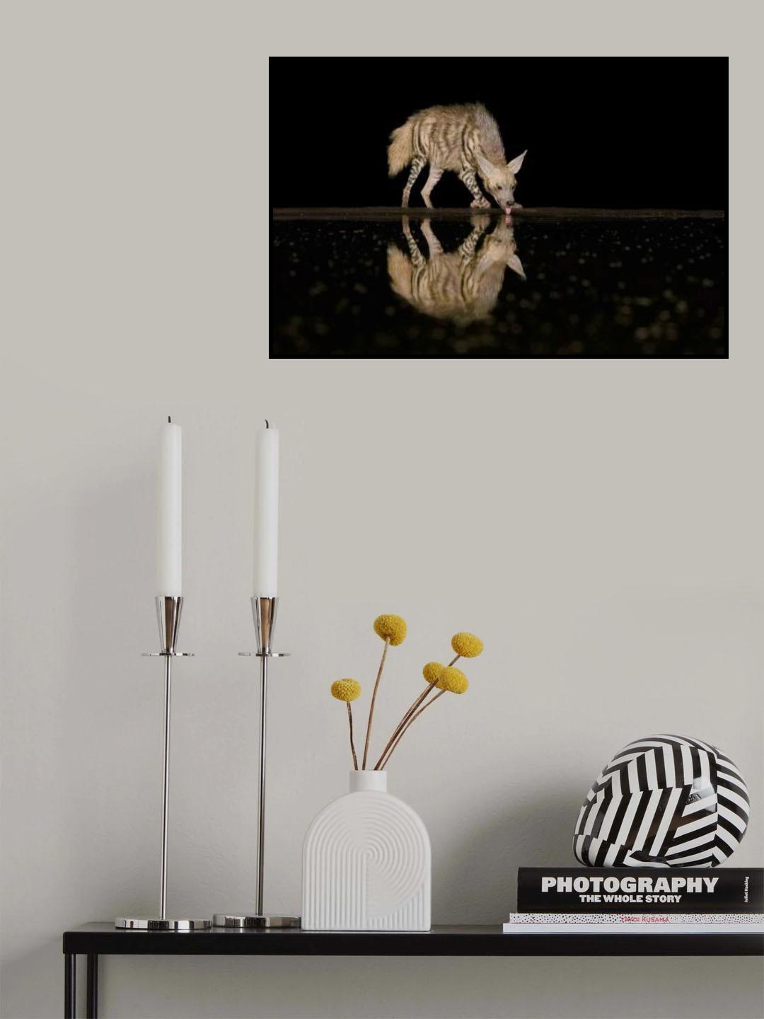 Striped hyena Poster och Canvastavla
