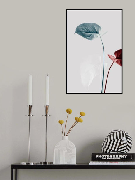 Monstera Creative 23 Poster och Canvastavla