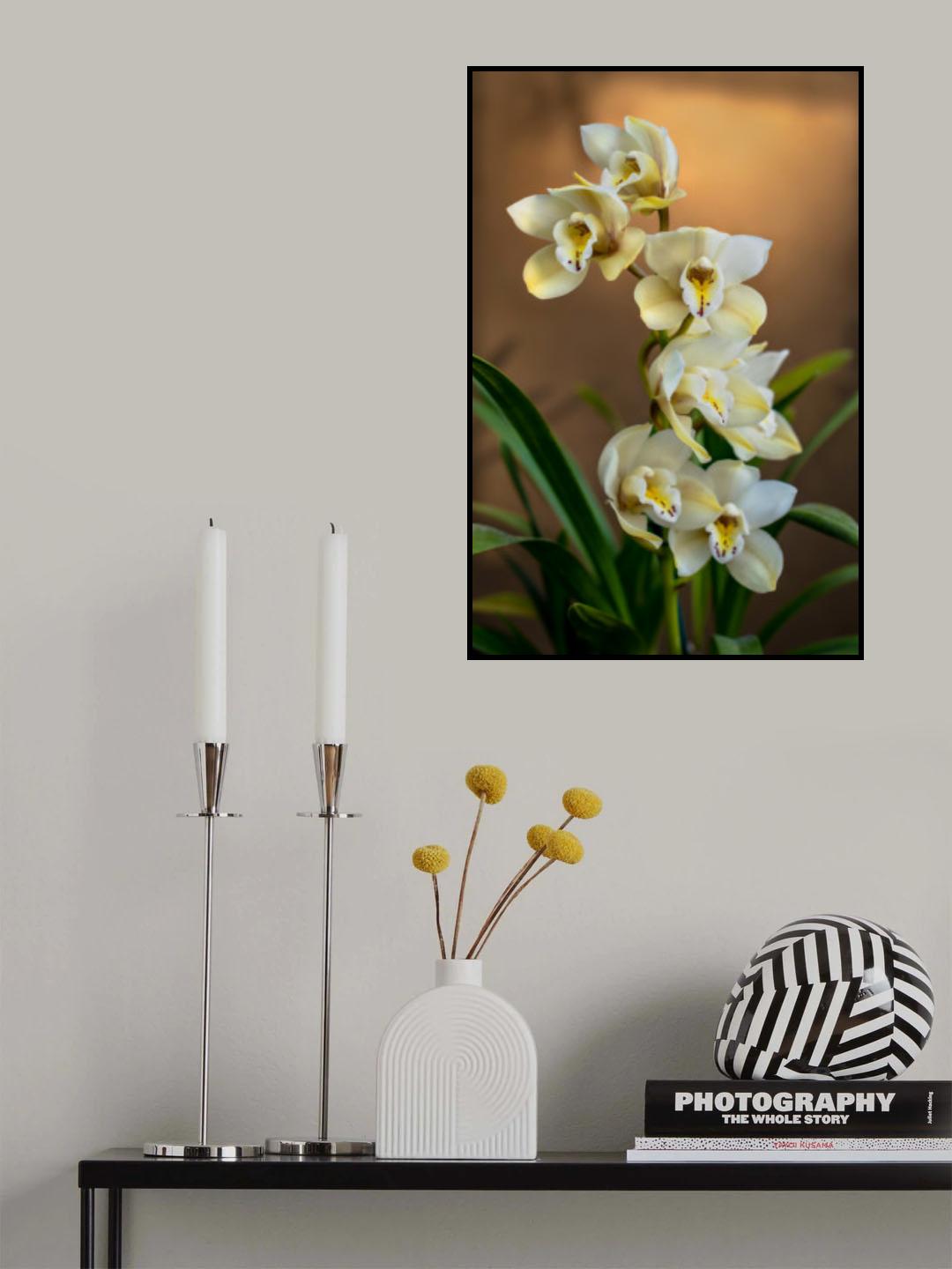 Orchids Poster och Canvastavla