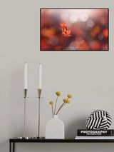 In the light Poster och Canvastavla