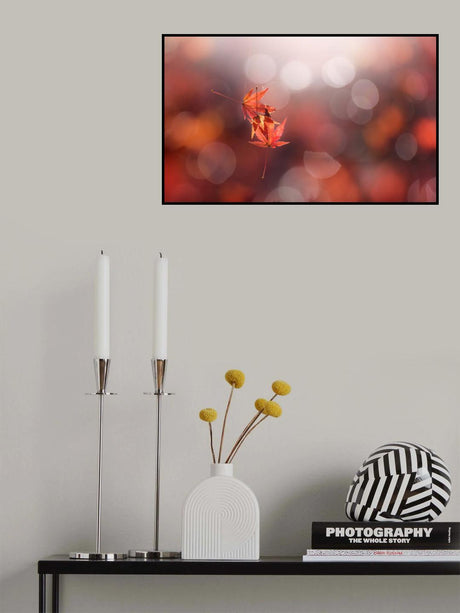 In the light Poster och Canvastavla