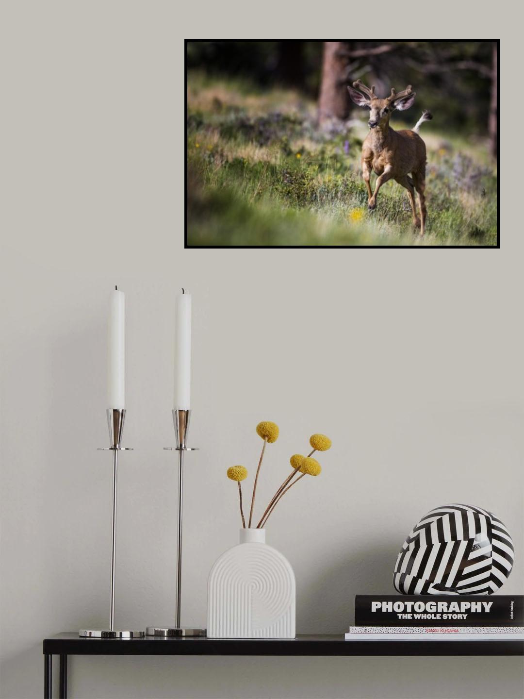 Happyyyyyyy... Poster och Canvastavla