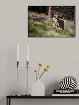 Happyyyyyyy... Poster och Canvastavla