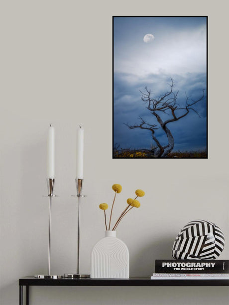 Morning moon Poster och Canvastavla