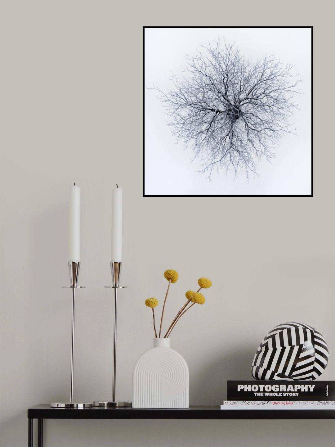 Dendrites Poster och Canvastavla