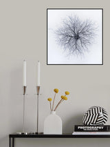 Dendrites Poster och Canvastavla
