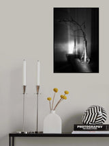 Light and shadow Poster och Canvastavla