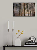 october snow Poster och Canvastavla
