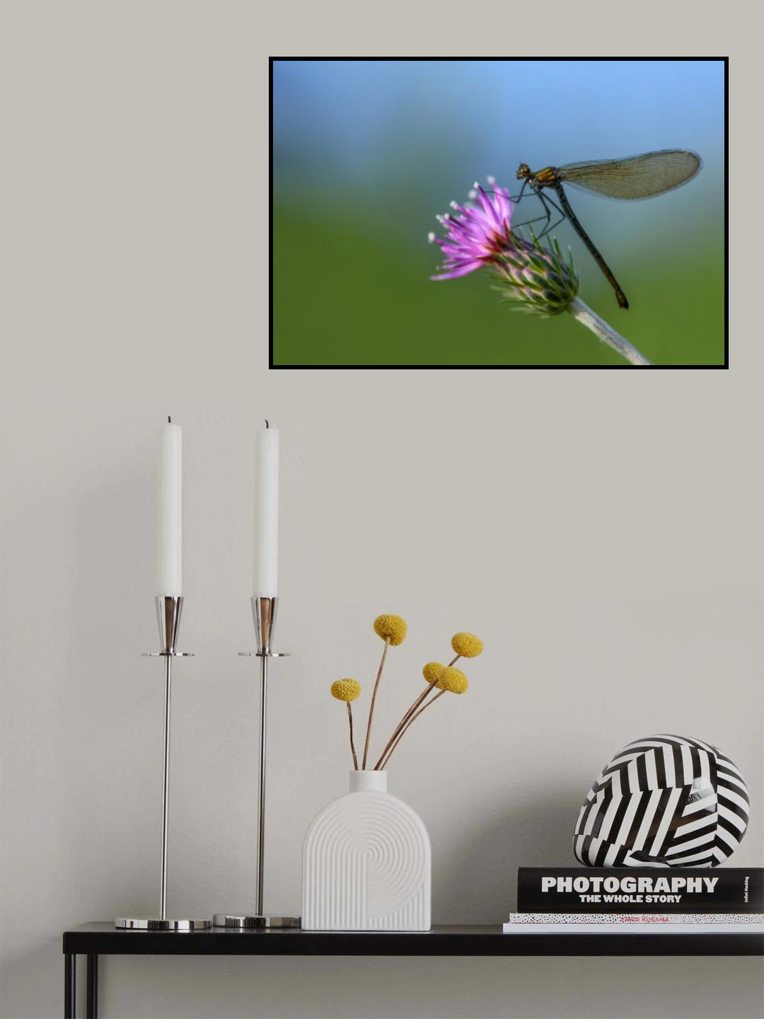 The dragonfly Poster och Canvastavla