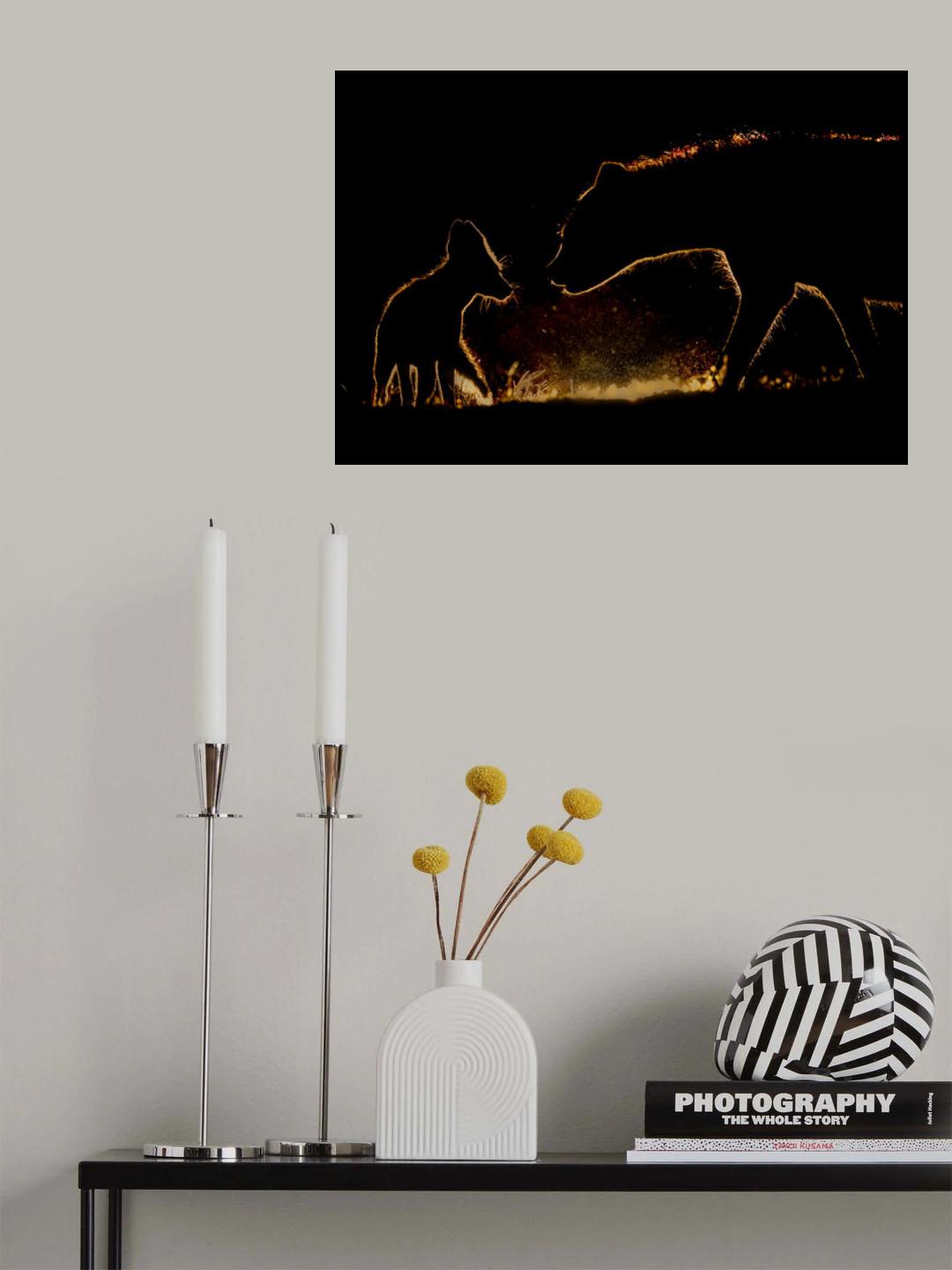 At Night Poster och Canvastavla