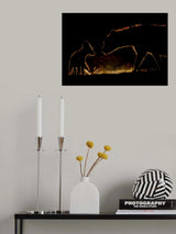 At Night Poster och Canvastavla