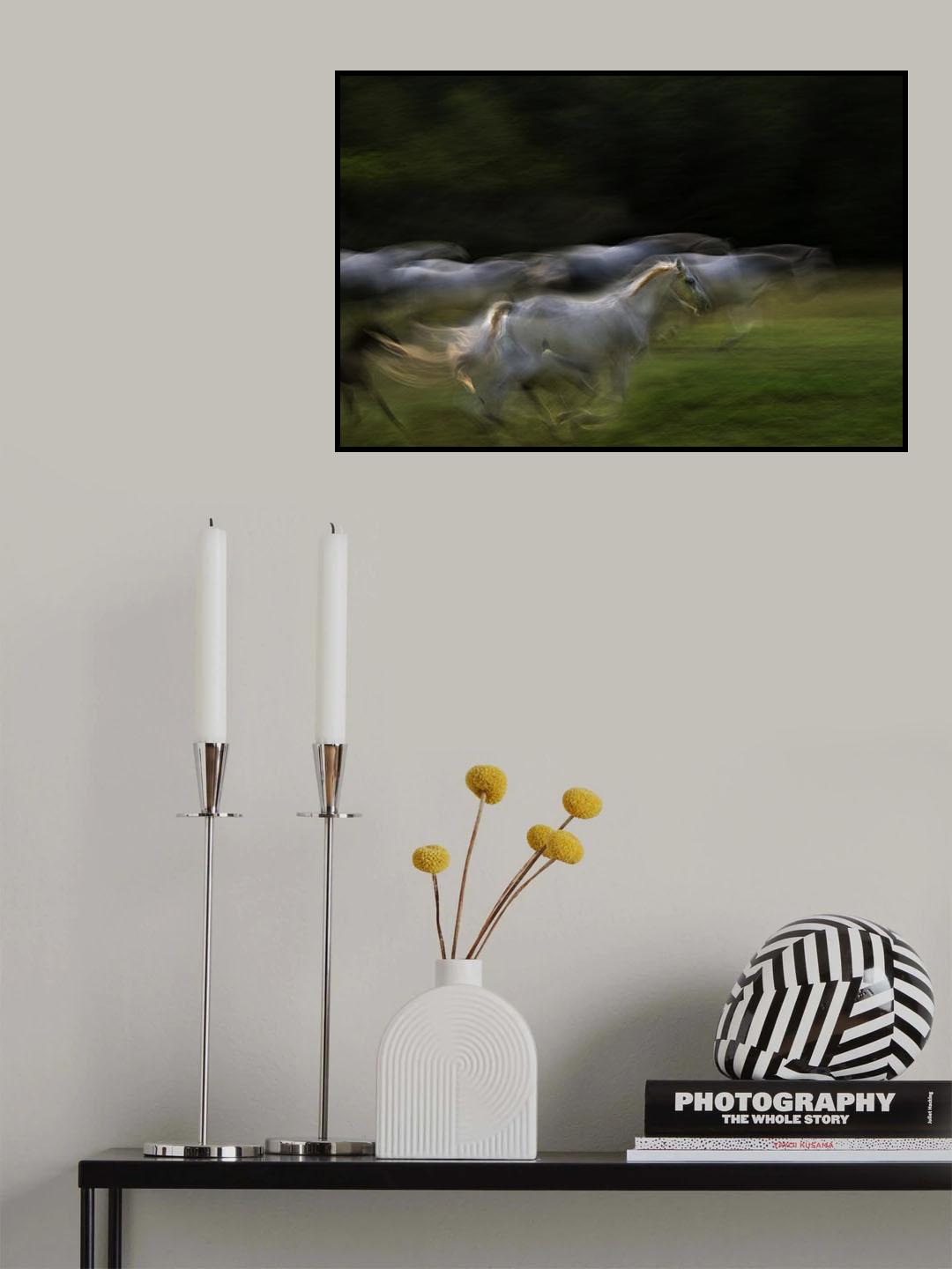 Galloping Poster och Canvastavla