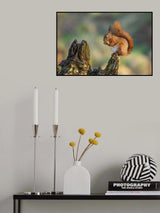 Red Squirrel Poster och Canvastavla