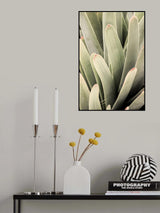 Desert Lips Poster och Canvastavla