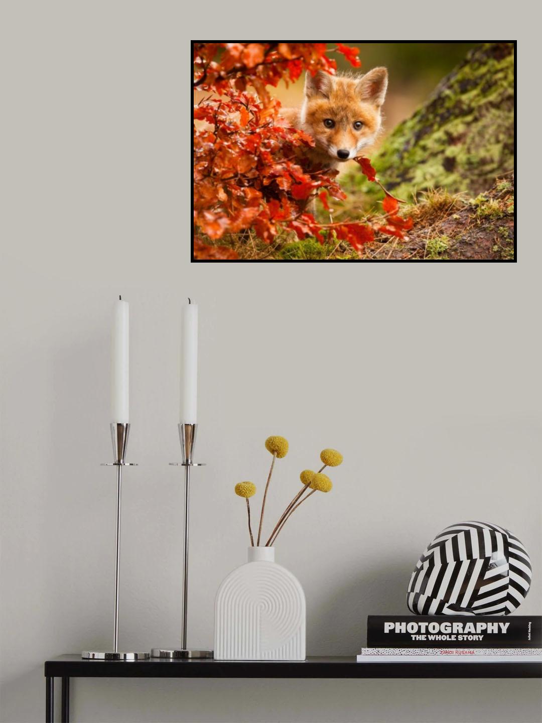 Fox Poster och Canvastavla