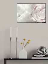 Peony 25 Poster och Canvastavla