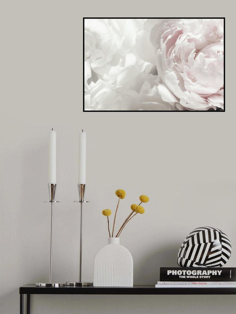 Peony 25 Poster och Canvastavla