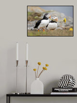 Where is she#2 Poster och Canvastavla