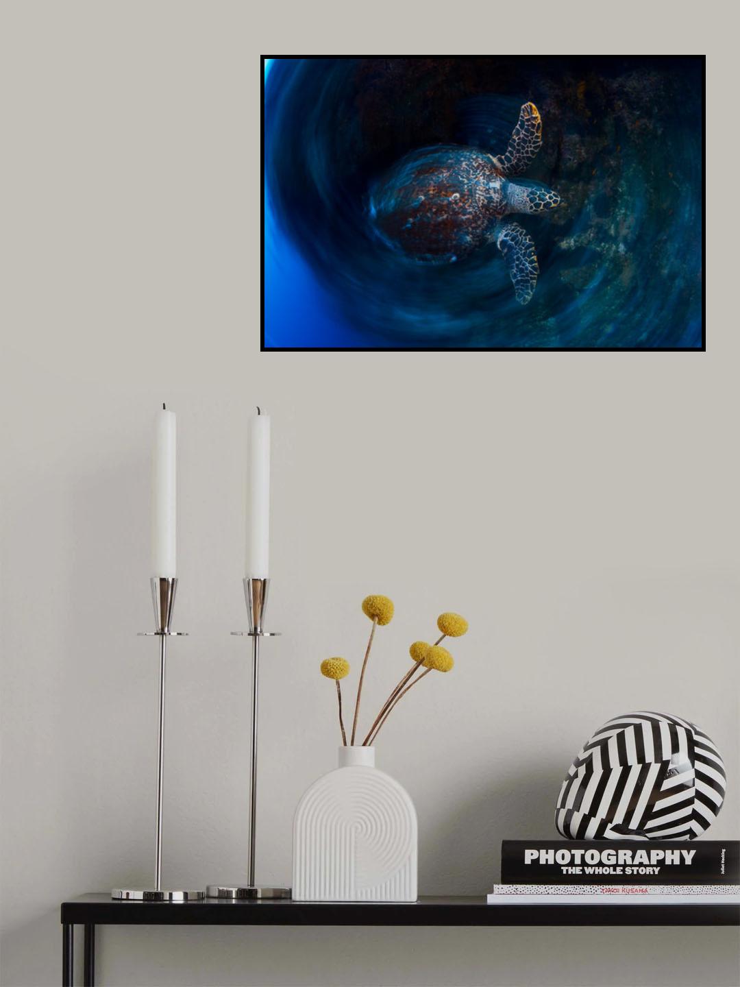 Hawksbill  sea turtle Poster och Canvastavla