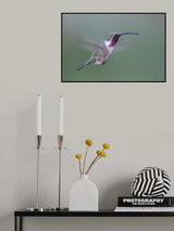 Lucifer Poster och Canvastavla