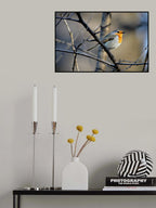 Little Red Robin Poster och Canvastavla