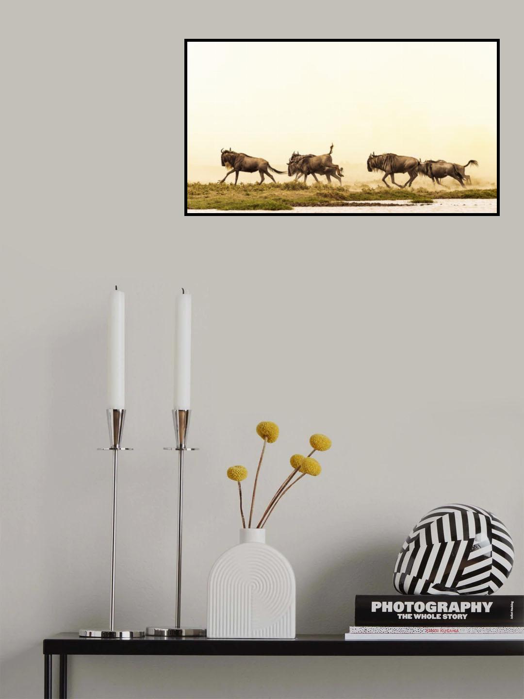 Fun in the Sun Poster och Canvastavla