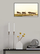 Fun in the Sun Poster och Canvastavla